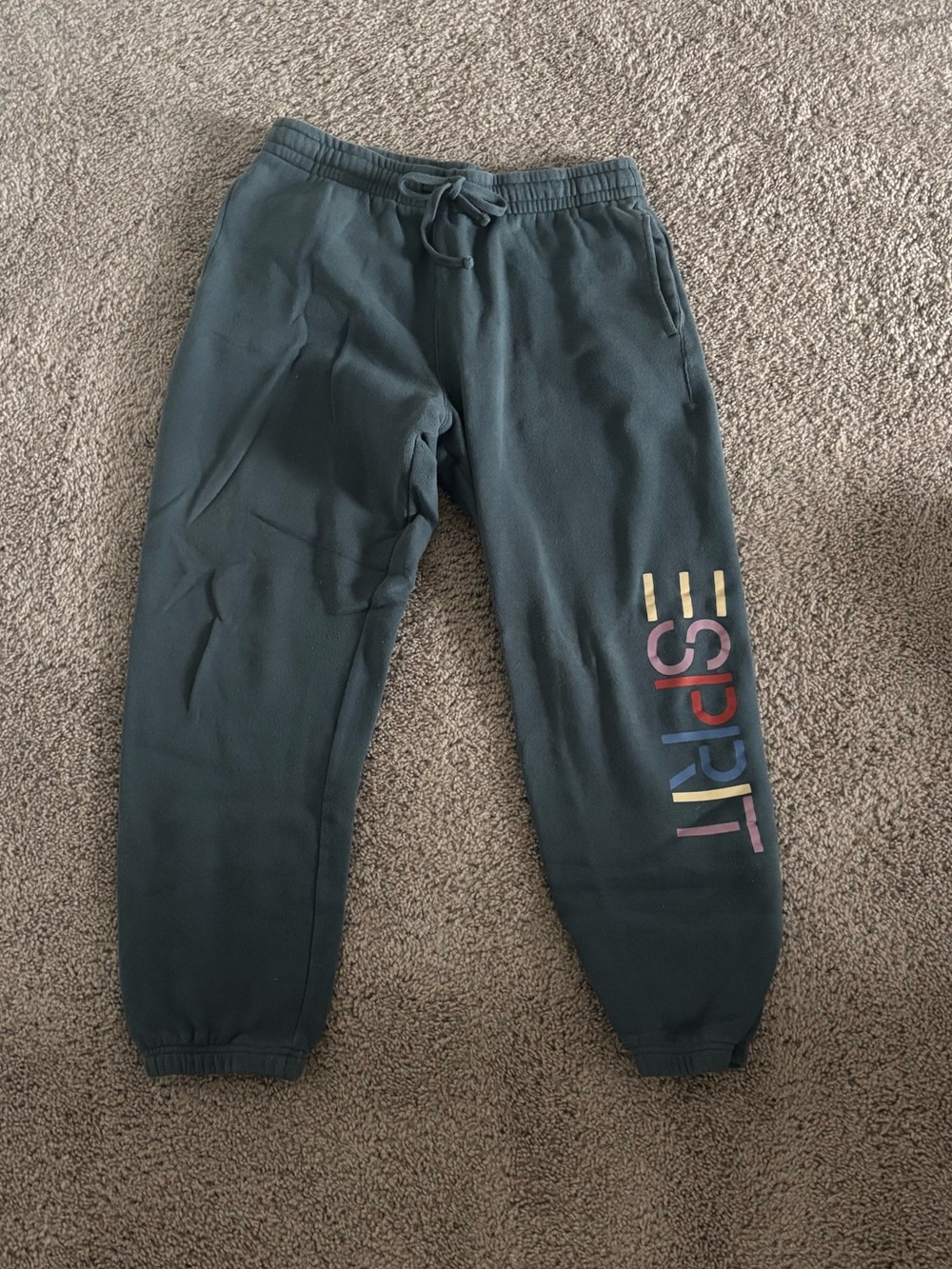 PacSun Dark Teal Track Joggers with Multicolor Esprit Logo